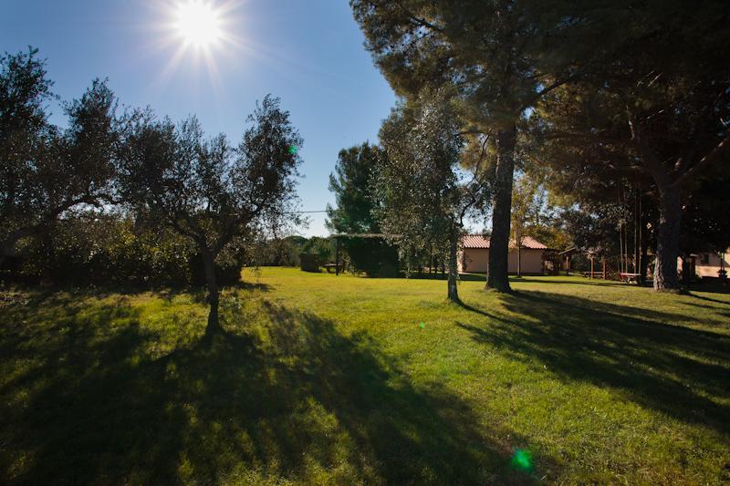 Agriturismo Le Vallette Bibbona Zewnętrze zdjęcie