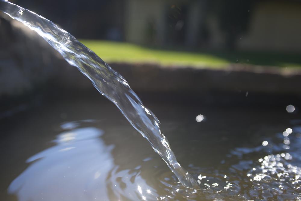 Agriturismo Le Vallette Bibbona Zewnętrze zdjęcie