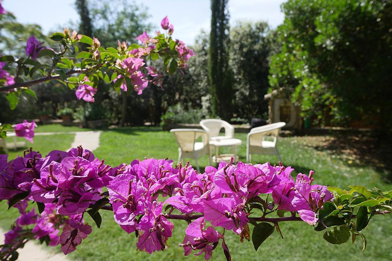Agriturismo Le Vallette Bibbona Zewnętrze zdjęcie
