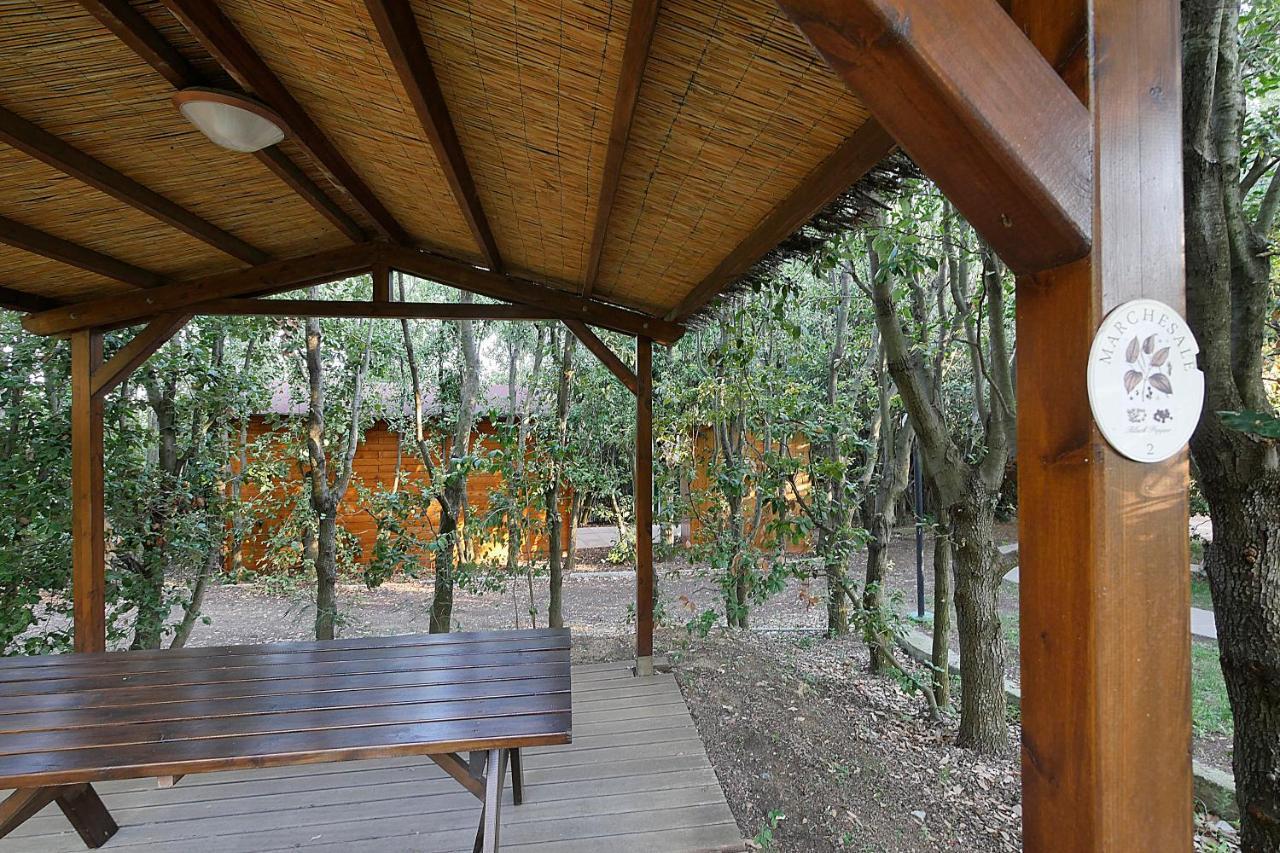 Agriturismo Le Vallette Bibbona Zewnętrze zdjęcie