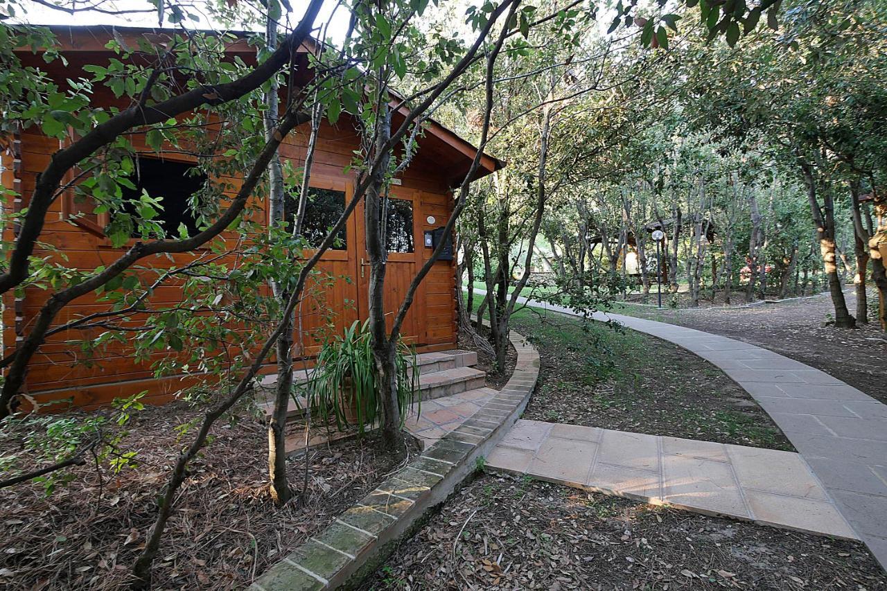 Agriturismo Le Vallette Bibbona Zewnętrze zdjęcie